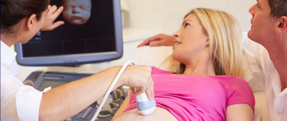 4 Boyutlu Renkli Ultrason