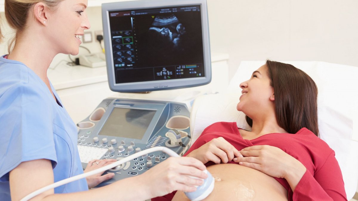 Gebelik Ultrasonu